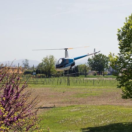 Hotel Del Rio Srl - Ristorante E Azienda Agricola Casinalbo Dış mekan fotoğraf