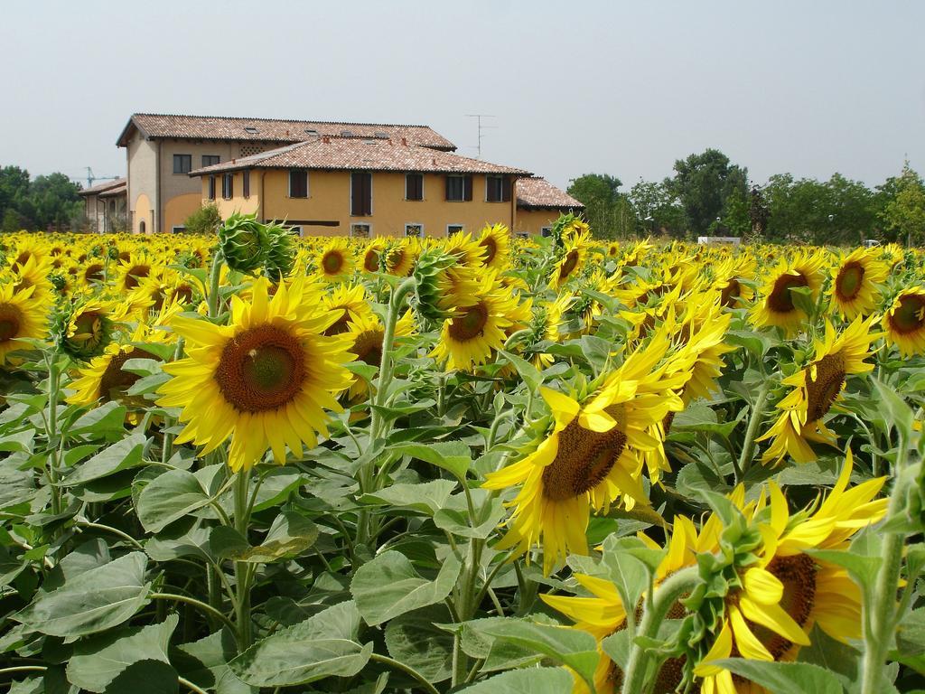 Hotel Del Rio Srl - Ristorante E Azienda Agricola Casinalbo Dış mekan fotoğraf