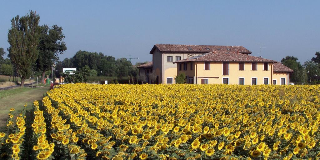 Hotel Del Rio Srl - Ristorante E Azienda Agricola Casinalbo Dış mekan fotoğraf