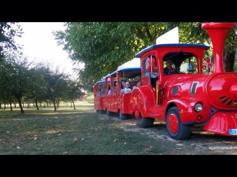 Hotel Del Rio Srl - Ristorante E Azienda Agricola Casinalbo Dış mekan fotoğraf